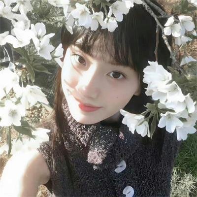 麋鹿王